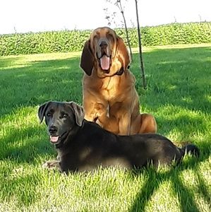 Meet your Posher, Carley